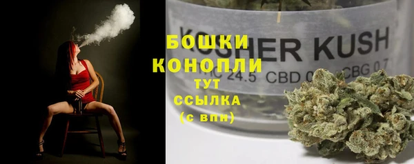 прущие грибы Каменск-Шахтинский